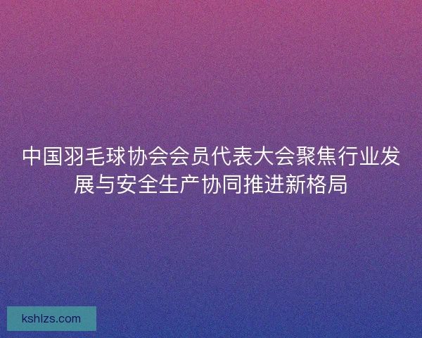 中国羽毛球协会会员代表大会聚焦行业发展与安全生产协同推进新格局